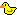 ducky